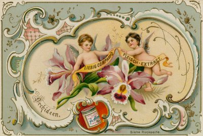 Orquídea de European School