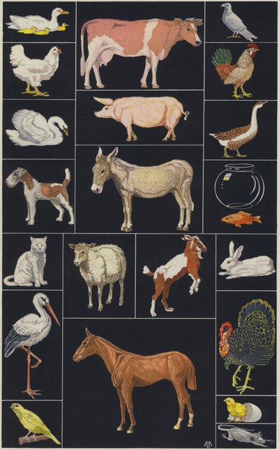 Página del libro infantil ilustrado Animales (litografía en color) de European School