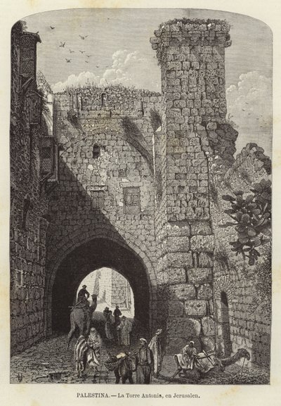 La Torre Antonia en Jerusalén de European School