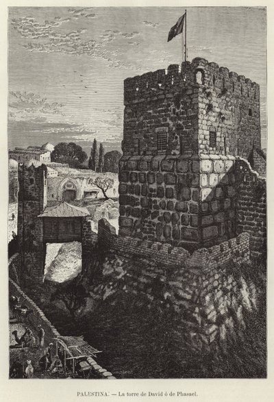 Palestina, La torre de David o de Fasael de European School