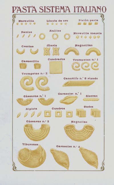 Pasta de European School