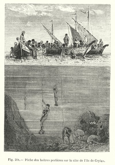 Pesca de ostras perleras en la costa de la isla de Ceilán de European School
