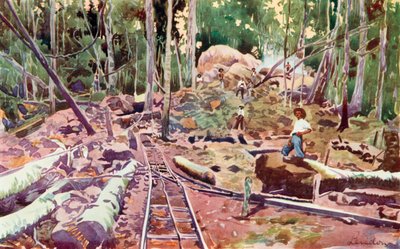 Penetrando en la selva amazónica, Ferrocarril Madeira-Mamore (litografía en color) de European School