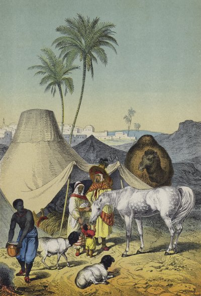 Personas, animales y plantas del norte de África y Arabia de European School