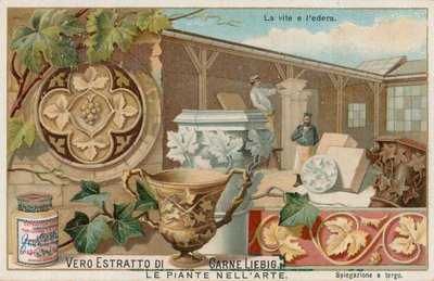 Plantas en el arte, tarjeta Liebig, principios del siglo XX (cromo) de European School