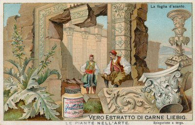 Plantas en el arte, tarjeta Liebig, principios del siglo XX (cromo) de European School