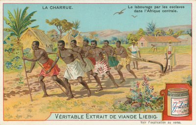 Arado, tarjeta Liebig, principios del siglo XX (cromo) de European School