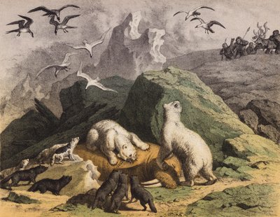Osos polares del norte de Siberia dándose un festín con una morsa muerta (litografía en color) de European School