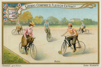 Polo de European School