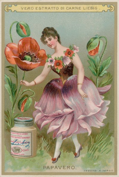 Niña flor de amapola de European School