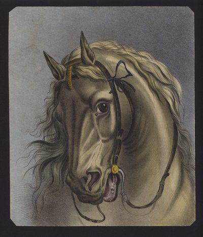 Retrato de un caballo (litografía en color) de European School