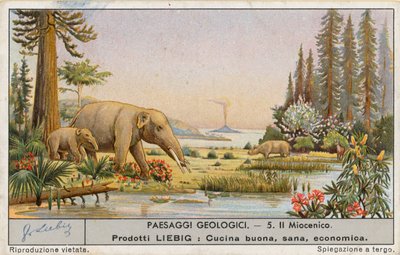 Mundo prehistórico, tarjeta Liebig, principios del siglo XX (cromo) de European School