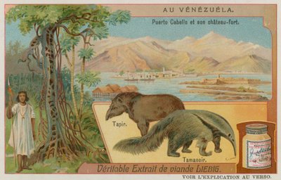 Puerto Cabello y su fuerte con un tapir y un oso hormiguero de European School