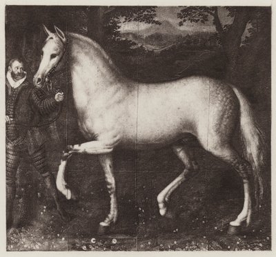 Caballo de la reina Isabel (lito) de European School