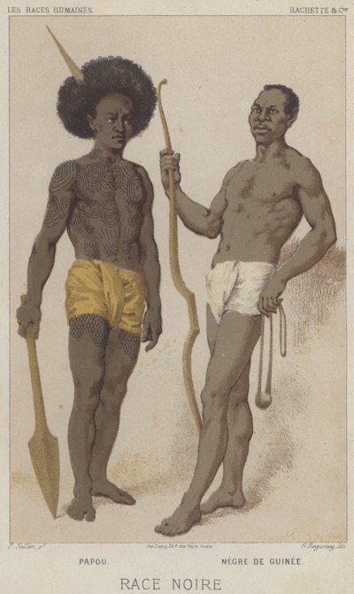 Raza negra, Papú, Negro de Guinea de European School