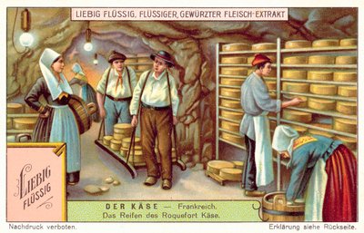 Quesos Roquefort madurando en Francia de European School