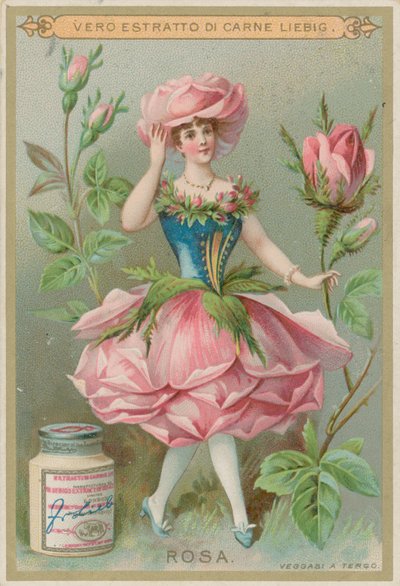 Niña flor de rosa de European School