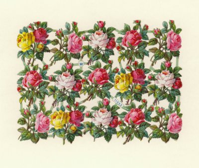 Rosas de European School