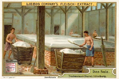 Sal: sala de secado, Luneburgo, Alemania de European School