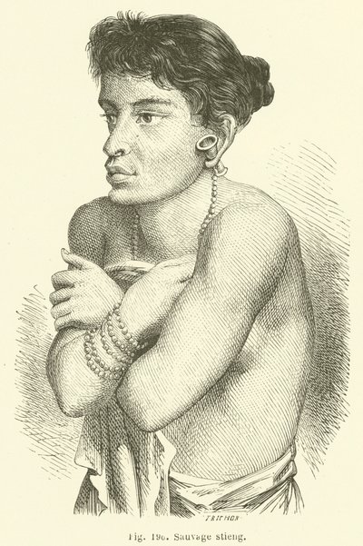 Salvaje stieng de European School