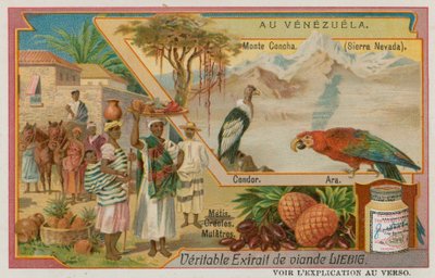 Sierra Nevada con un cóndor y un loro y nativos de ascendencia mixta de European School