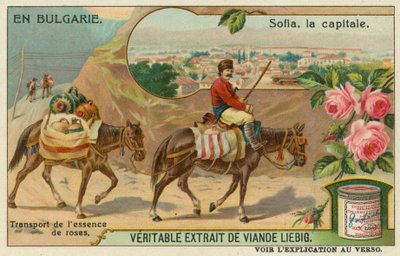 Sofía y un comerciante transportando esencia de rosa de European School