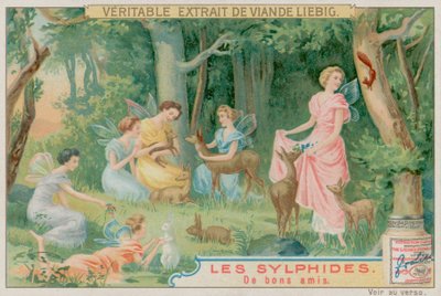 Sílfides y Animales del Bosque de European School