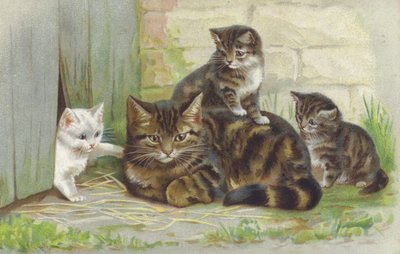 Gata atigrada con tres gatitos (cromolito) de European School
