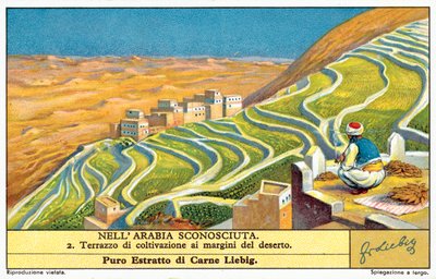 Cultivo en terrazas en el borde del desierto de European School