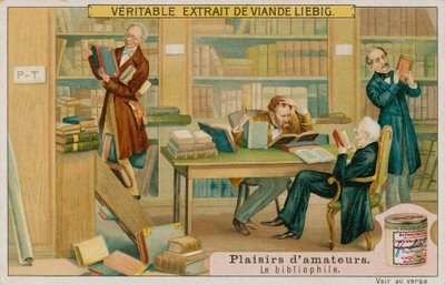 El Bibliófilo Aficionado de European School