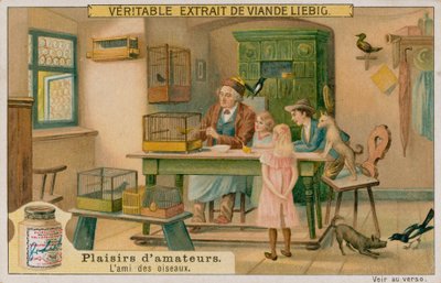 El Amante de los Pájaros Aficionado de European School