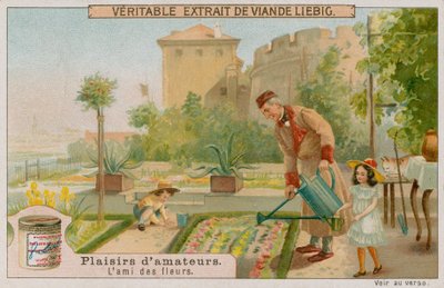 El Jardinero Aficionado de European School