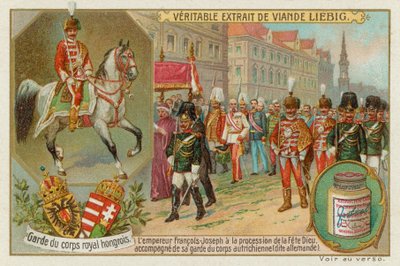 La guardia del cuerpo del emperador de Hungría de European School