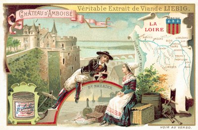 El Loira y una vista del Castillo de Amboise de European School