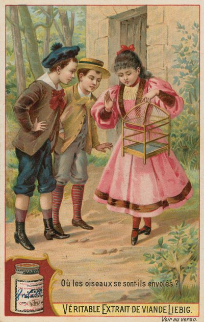Los Pájaros Perdidos de European School