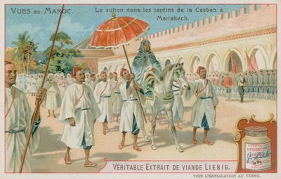 El sultán visita los jardines de la Casbah en Marrakech de European School
