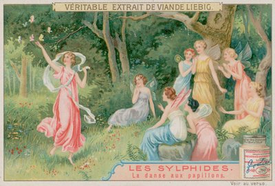 Las Sílfides Bailan con Mariposas de European School