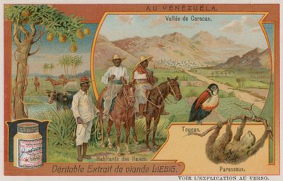 El valle de Caracas con un tucán y un perezoso y tribus de las llanuras de European School