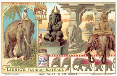 El elefante de European School