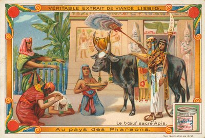 El toro sagrado Apis, tarjeta Liebig, principios del siglo XX (cromo) de European School