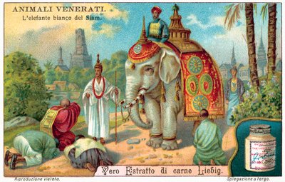 El elefante blanco de Siam de European School