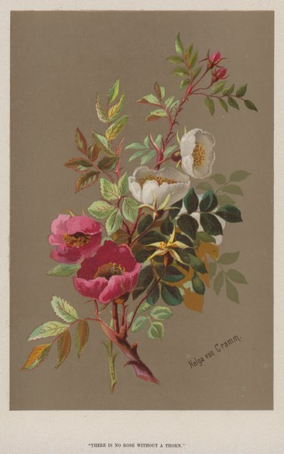 "No hay rosa sin espina" (cromolito) de European School