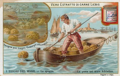 Tesoros del mar, tarjeta Liebig, principios del siglo XX (cromo) de European School