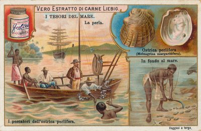 Tesoros del mar, tarjeta Liebig, principios del siglo XX (cromo) de European School