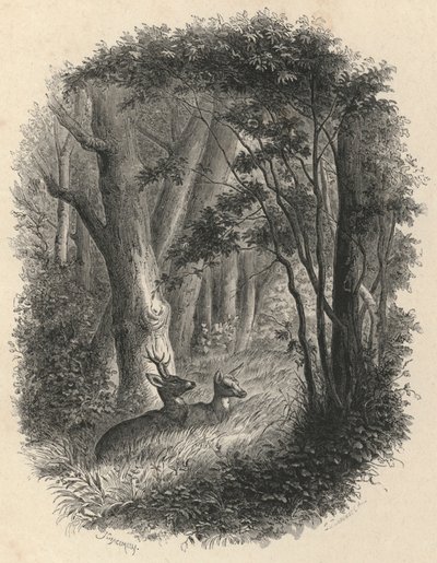 Un rincón del bosque de Fontainebleau de European School