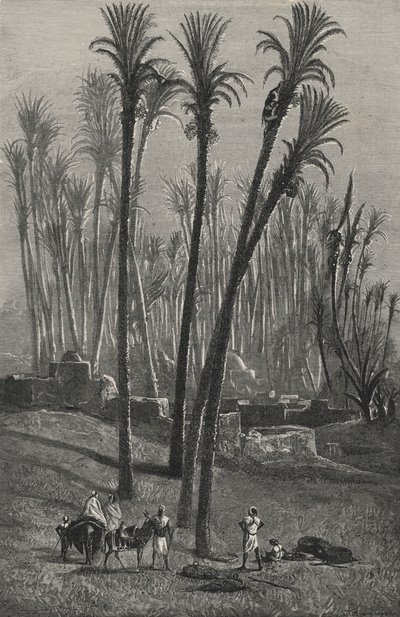 Un oasis en el Sahara (grabado) de European School