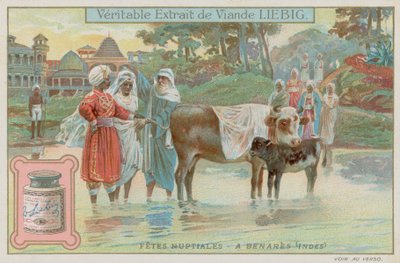 Tradiciones de bodas en Varanasi de European School