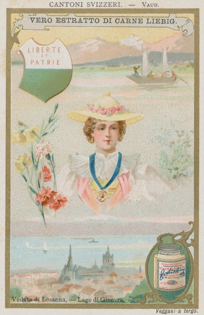Vaud de European School