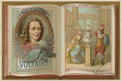 Voltaire de European School