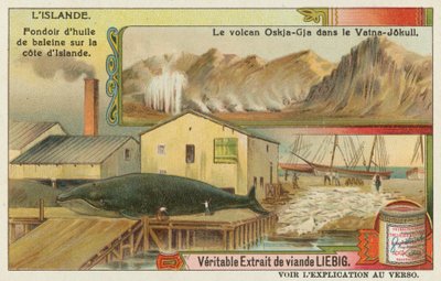 Fábrica de aceite de ballena y un volcán en el glaciar Vatna de European School